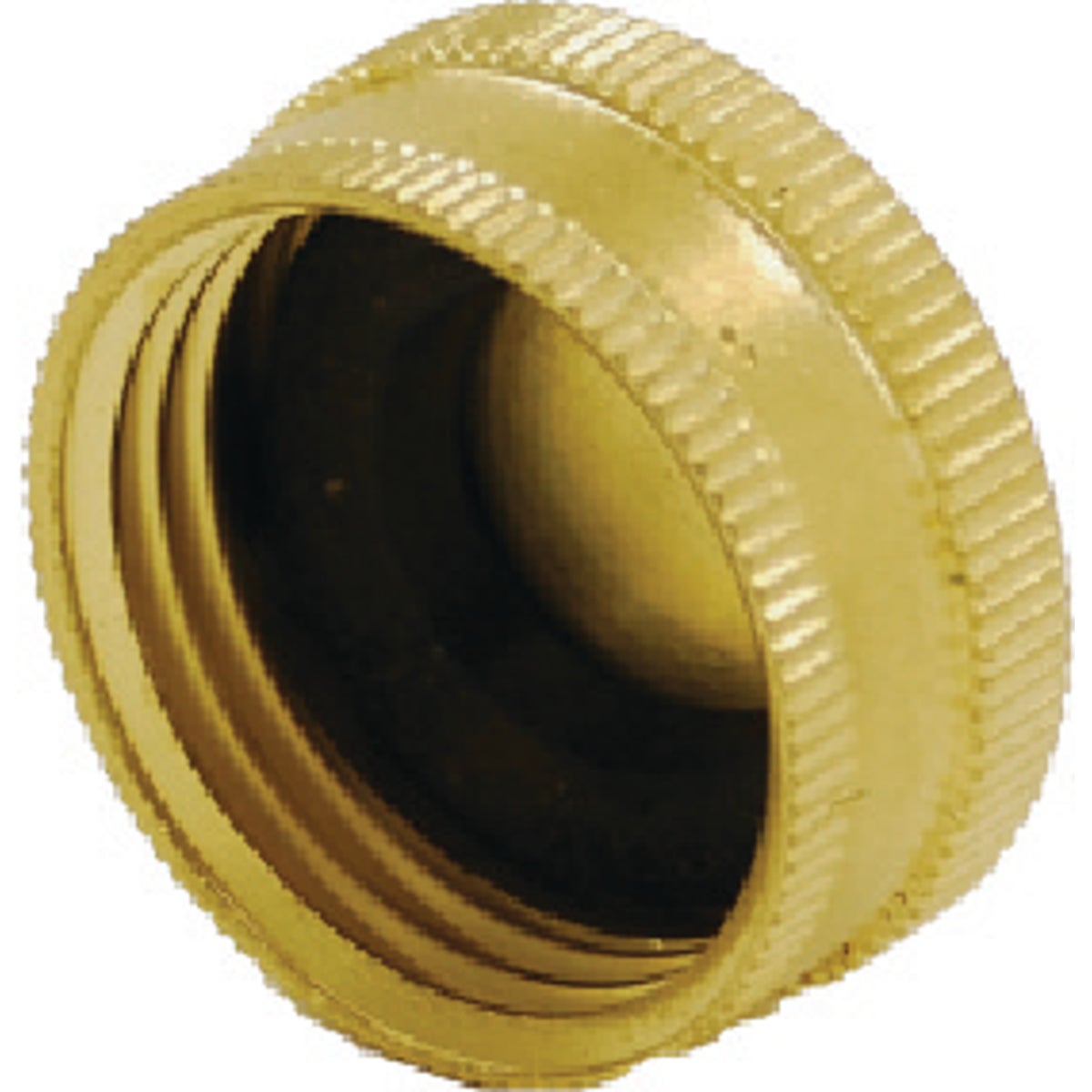 Brass Hose Caps