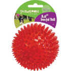 Gnawsome Squeaker Ball, Medium Image 1