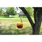 Songbird Essentials Single Cup Jelly Oriole Feeder Image 2