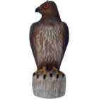 Bird B Gone Hawk Decoy Image 1