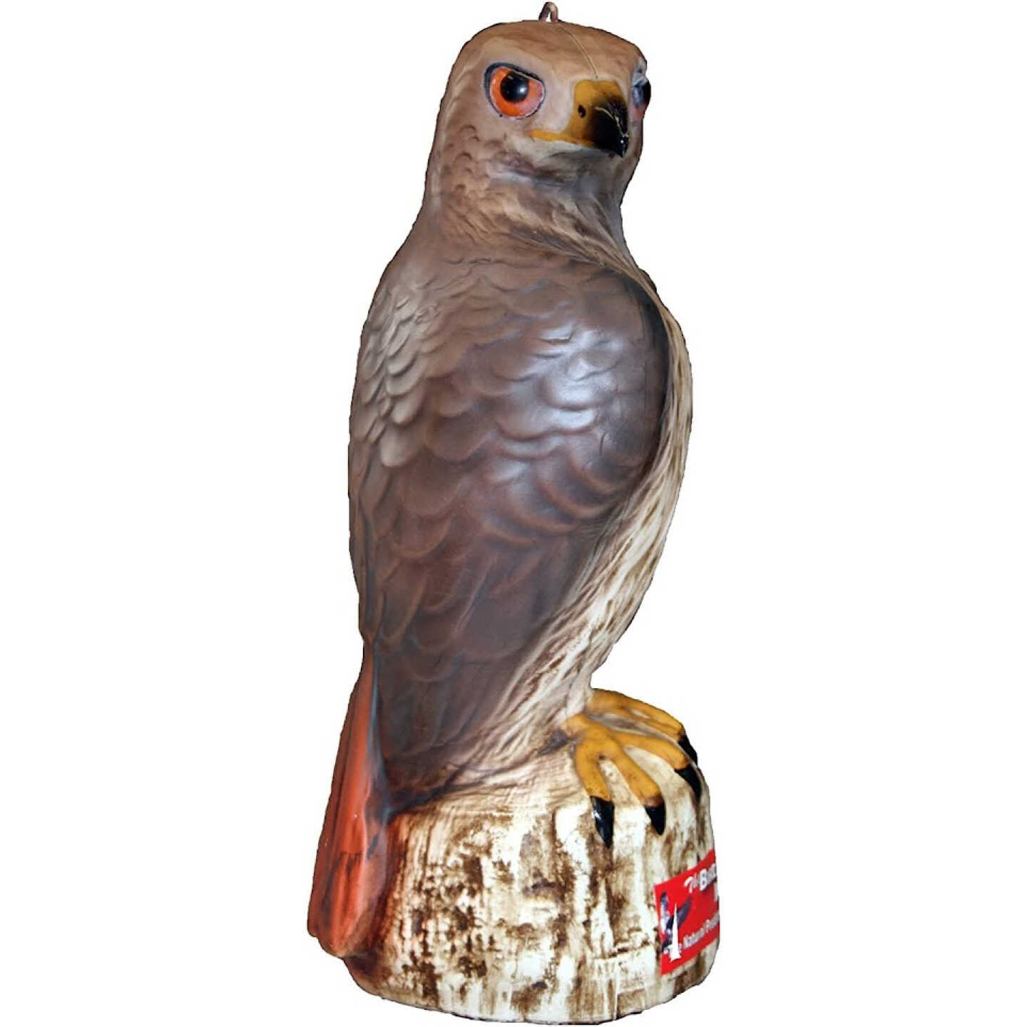 Bird B Gone Hawk Decoy Image 4