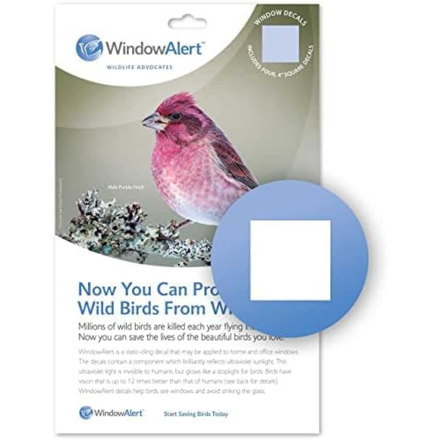 Window Alert Square Decal 4 Pack Image 3