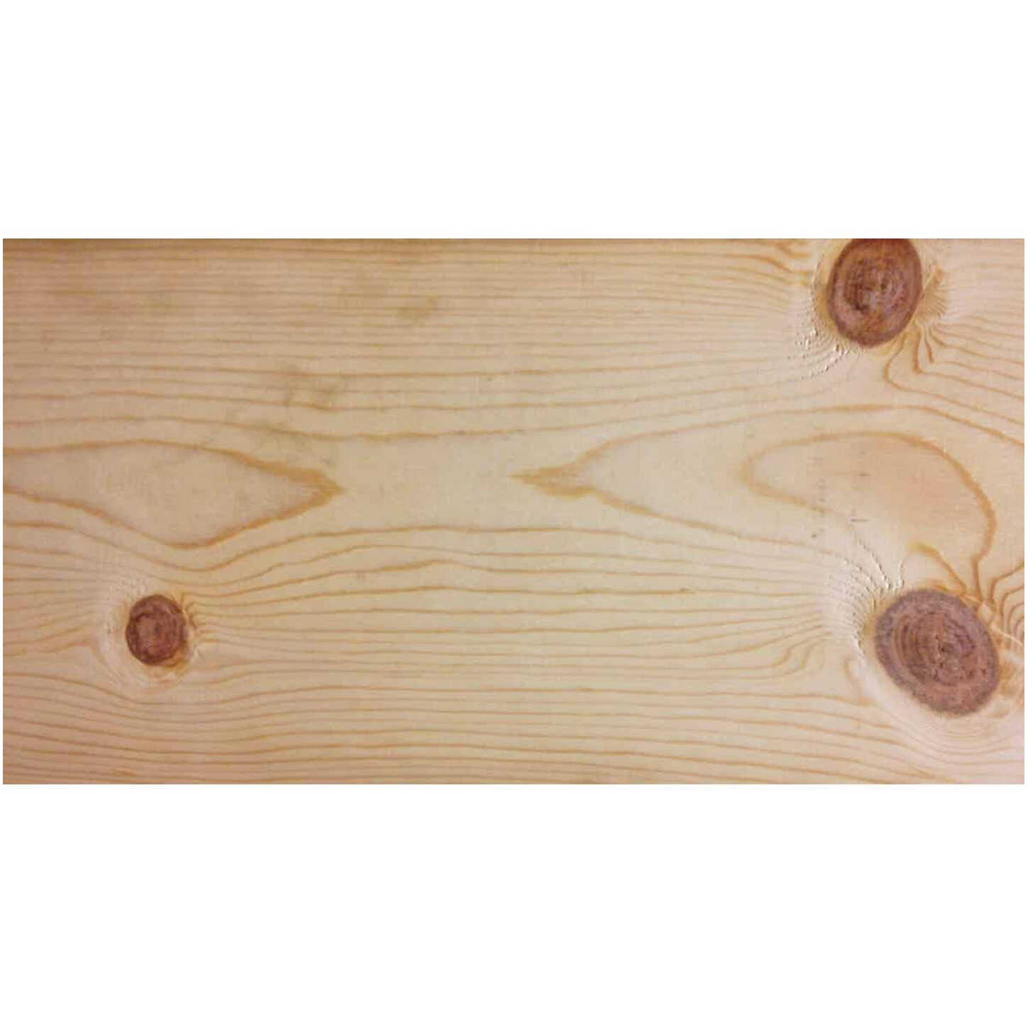 1 In. x 8 In. x 12 Ft. #2 Ground Contact Treated Lumber