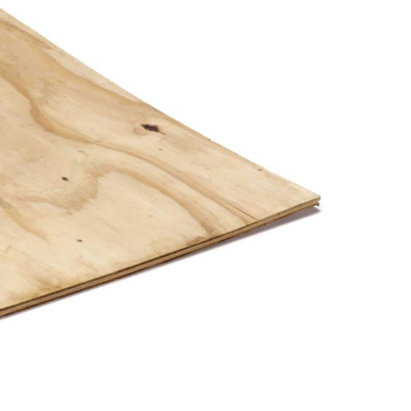 1/2 In. x 4 Ft. x 8 Ft. CDX Ground Contact Treated Plywood Image 1
