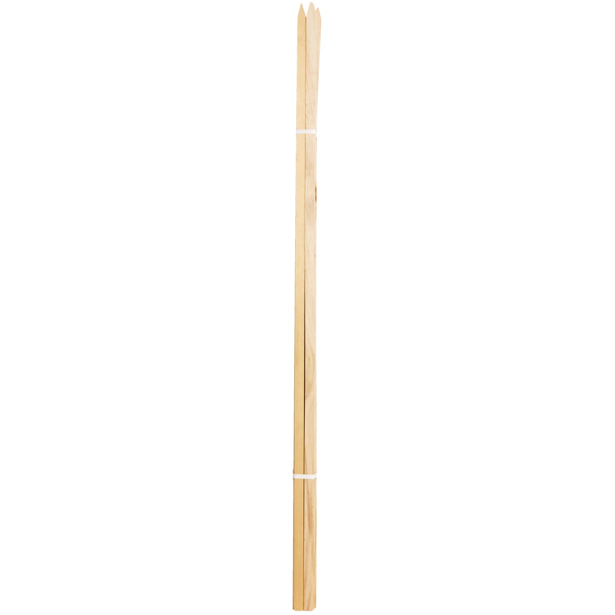 Kitzmans 3/4 In. x 3/4 In. x 48 In. SPF Grade & Survey Stake (10-Pack) Image 2