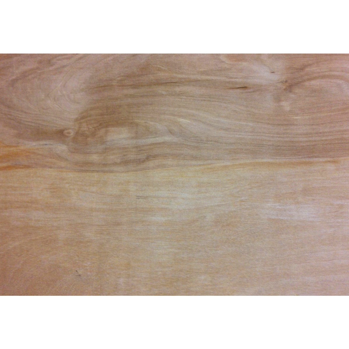 ProWood 1/2 In. x 24 In. x 48 In. Birch Plywood