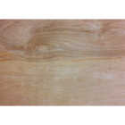ProWood 1/2 In. x 24 In. x 48 In. Birch Plywood Image 1