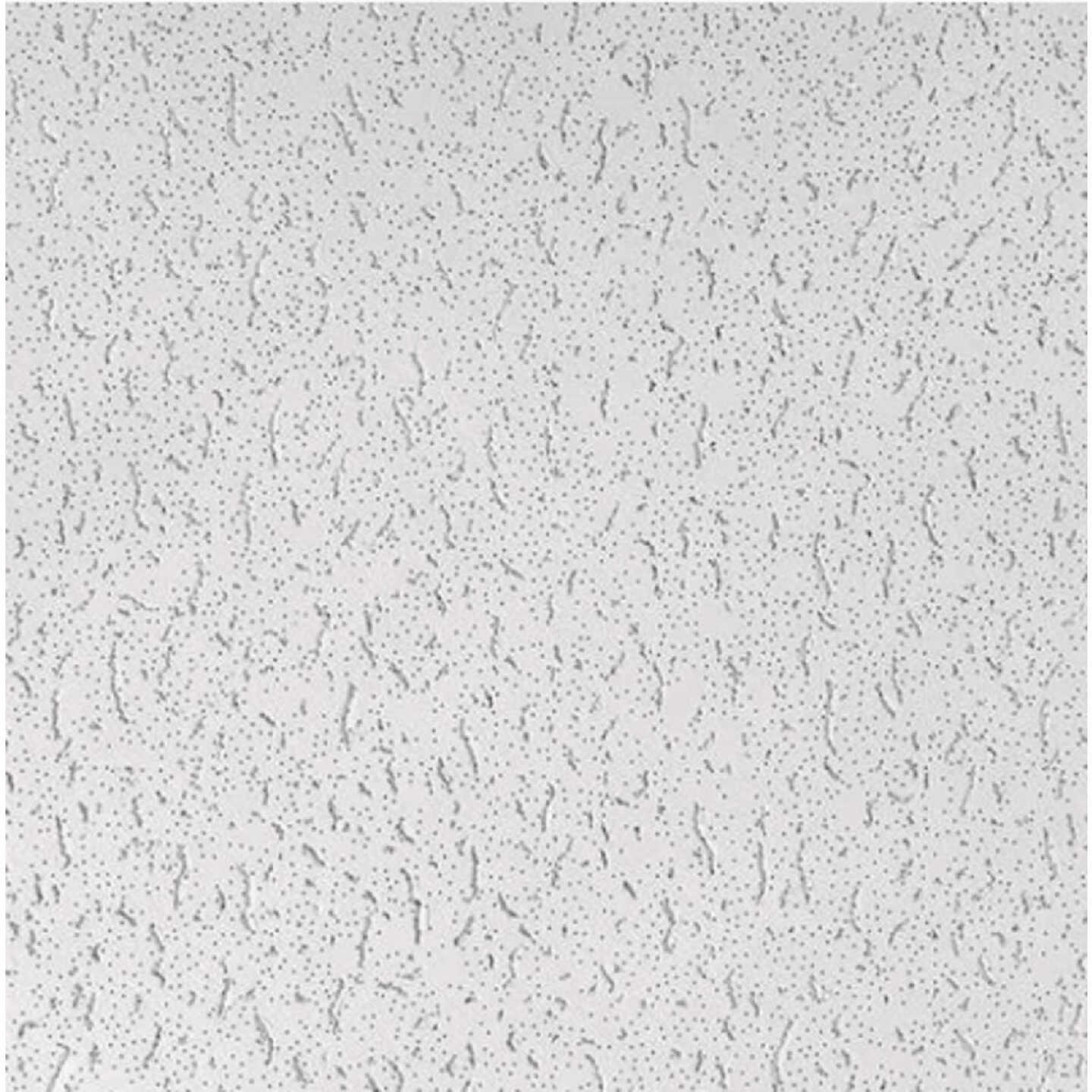 USG Fissured Fifth Avenue 2 Ft. x 4 Ft. Mineral Fiber Square Edge Ceiling Panel, Directional (8-Count) Image 1
