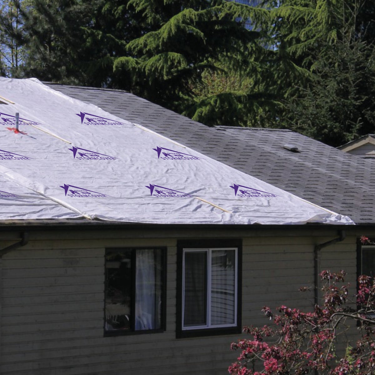 REX STORMCOVER 10 Ft. x 300 Ft. Temporary Roof Protection Tarp Image 2