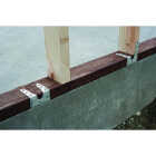 Simpson Strong-Tie MASA 16 ga Galvanized Steel Mudsill Anchor Image 3