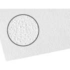 Palram Palclad Pro Cracked Ice .090 White 48 In. x 120 In. NRP Panel Image 1