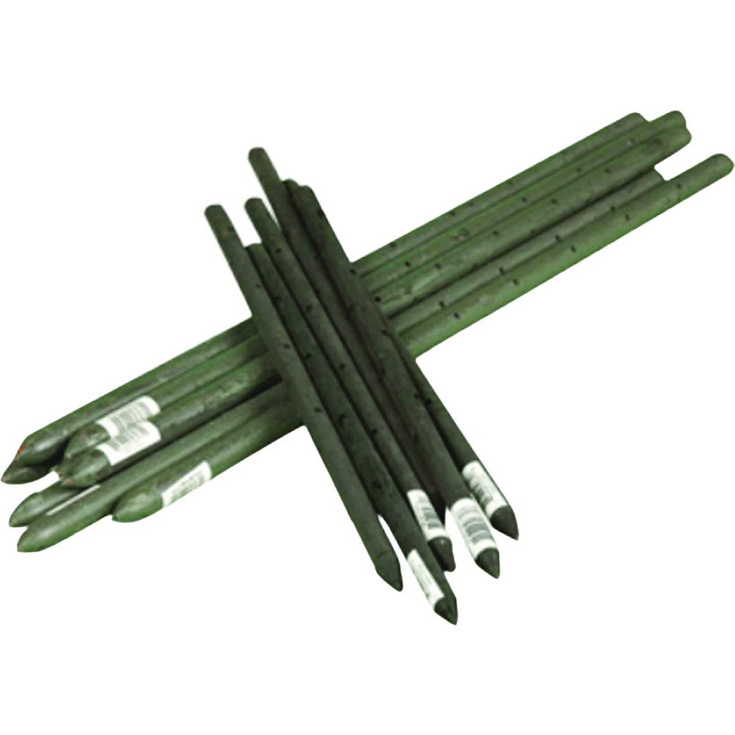 Grip-Rite 3/4 In. x 30 In. Concrete Nailstakes (10-Pack) Image 1
