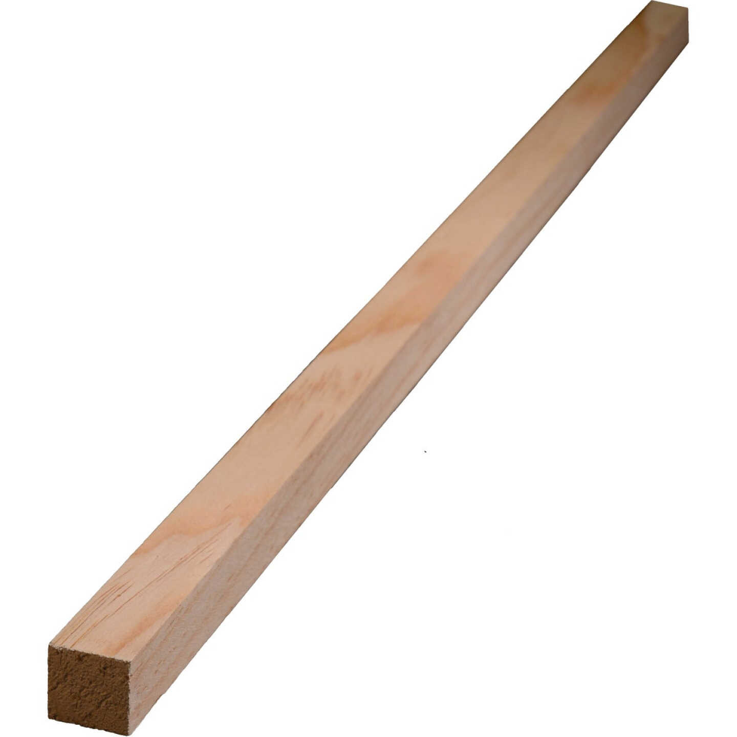 Alexandria Moulding 11/16 In. W x 11/16 In. H. x 8 Ft. L Solid Pine Flat Molding Image 1