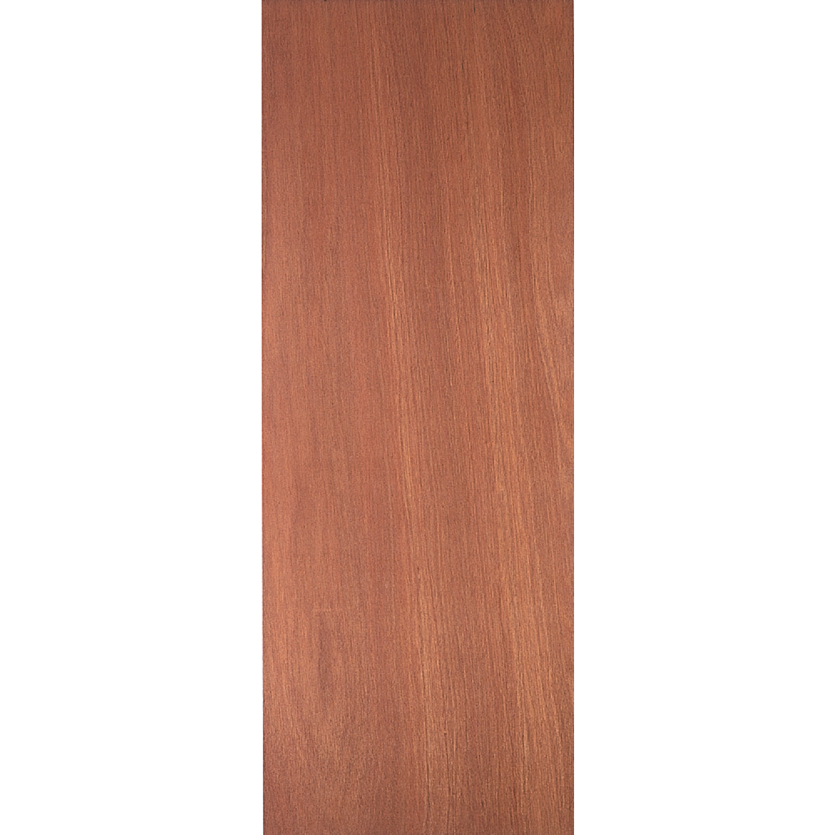 Masonite 32 In. W. x 80 In. H. Lauan Wood Interior Hollow Core Door Slab