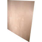 Alexandria Moulding 1/2 In. x 48 In. x 48 In. Pine Plywood Image 1
