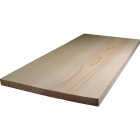 Alexandria Moulding 1 In. x 12 In. x 8 Ft. Pine Board Image 1