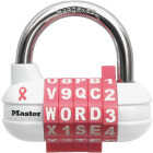 PASSWORD+ PINK PADLOCK Image 1