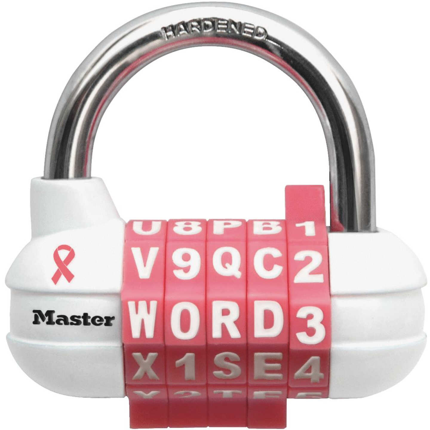 PASSWORD+ PINK PADLOCK Image 1