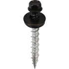 Acorn International #9 x 1-1/2 In. Black Washered Metal To Wood Screw (250-Count) Image 1