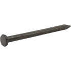 Grip-Rite 2 In. x 9 ga x 6d Hardened Steel Fluted Masonry Nails (98-Count) Image 2
