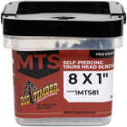 Big Timber #8 x 1 In. Modified Truss Head Sharp Point Wood Screw (1 Lb.) Image 1