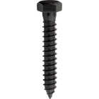 National Hardware 1/2 In. x 3 In. Black Lag Screw (8-Count) Image 1
