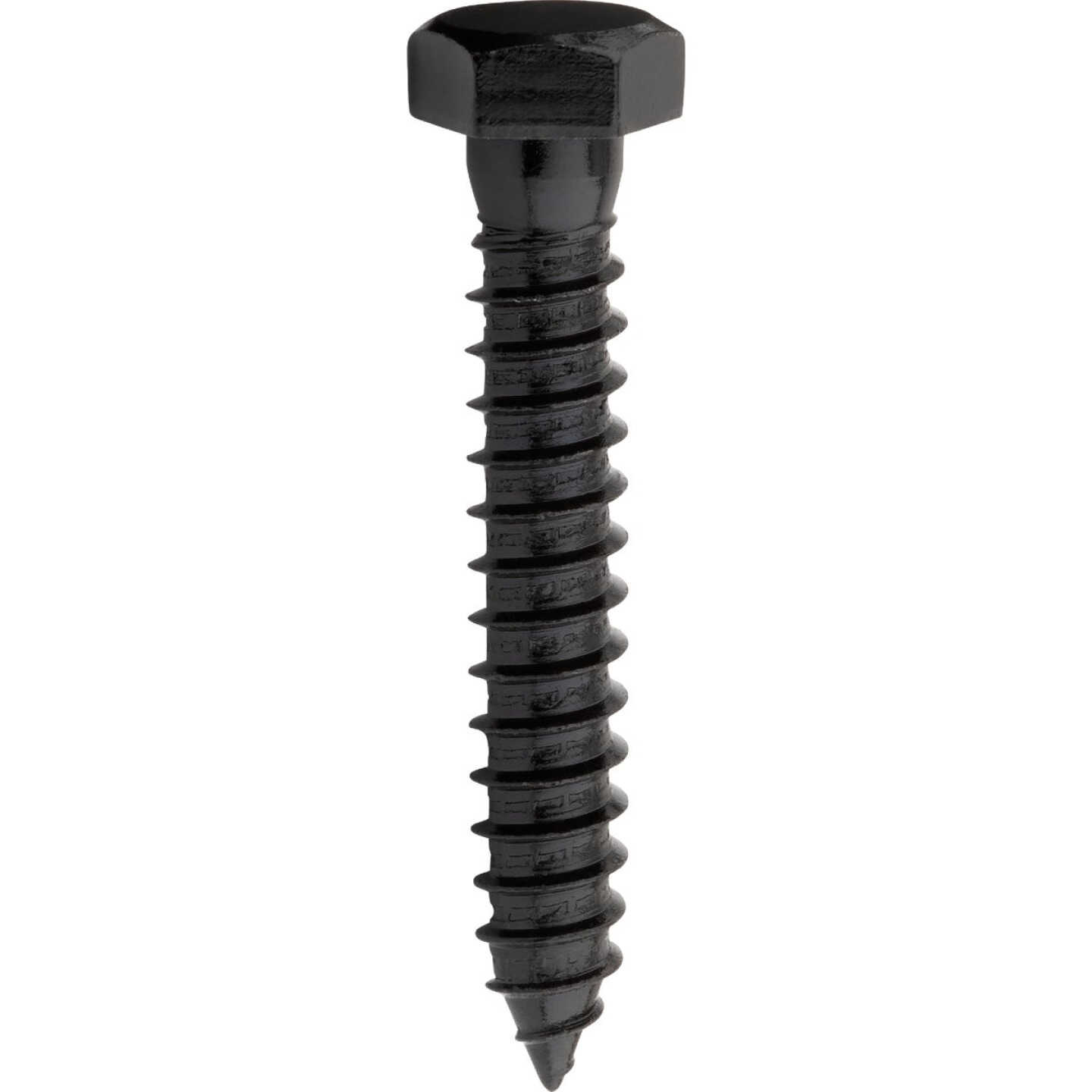 National Hardware 1/2 In. x 3 In. Black Lag Screw (8-Count) Image 1