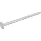 Grip-Rite 1-1/2 In. 4d x 14 ga Hot Galvanized Box Nail (405-Count) Image 2