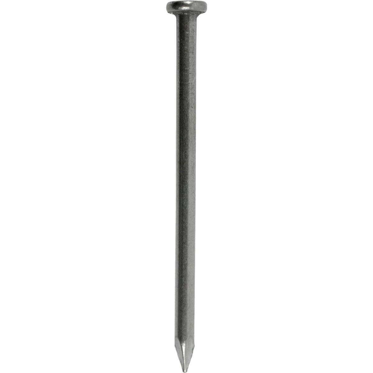Grip-Rite 2-1/2 In. 8d x 10.25 ga Smooth Shank Bright Steel Common Nail (50 Lb.)