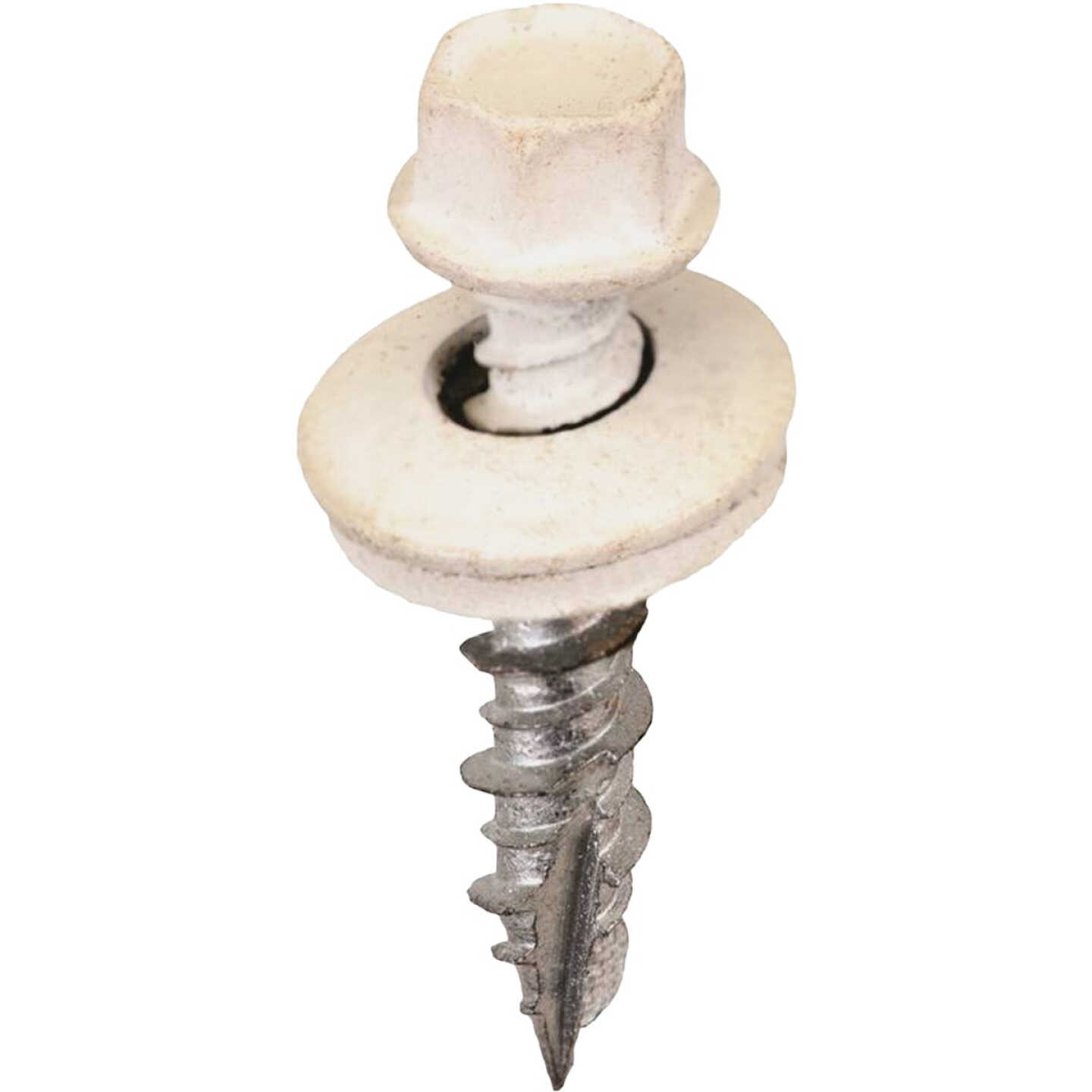 Acorn International 1 In. Washered Metal To Wood Screw (250-Count) Image 1