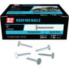 Grip-Rite 1 In. x 11 ga Electrogalvanized Roofing Nails (272-Count) Image 1