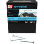 Grip-Rite 2 In. x 11 ga Electrogalvanized Roofing Nails (720-Count) Image 1