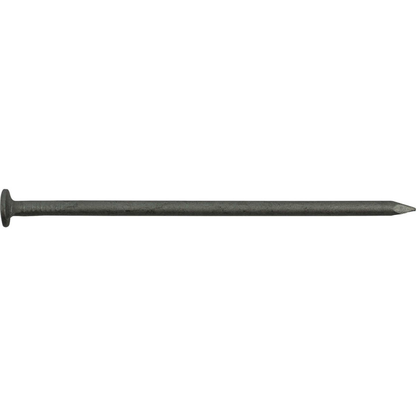 Grip-Rite 3-1/2 In. 16d x 10 ga Hot Galvanized Box Nail (322-Count) Image 2
