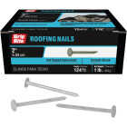 Grip-Rite 2 In. x 11 ga Hot Galvanized Roofing Nails (138-Count) Image 1