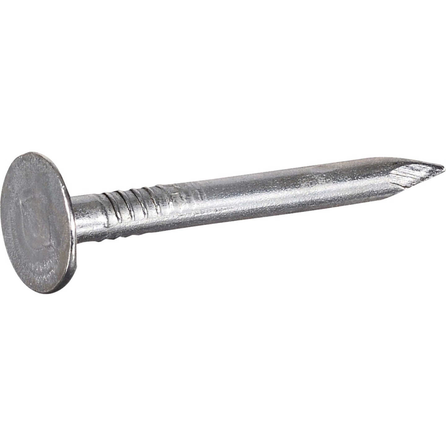Hillman Fas-n-Tite 1-1/4 In. Electrogalvanized Roofing Nails (1 Lb.) Image 1