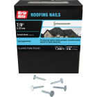 Grip-Rite 7/8 In. x 11 ga Electrogalvanized Roofing Nails (1530-Count) Image 1