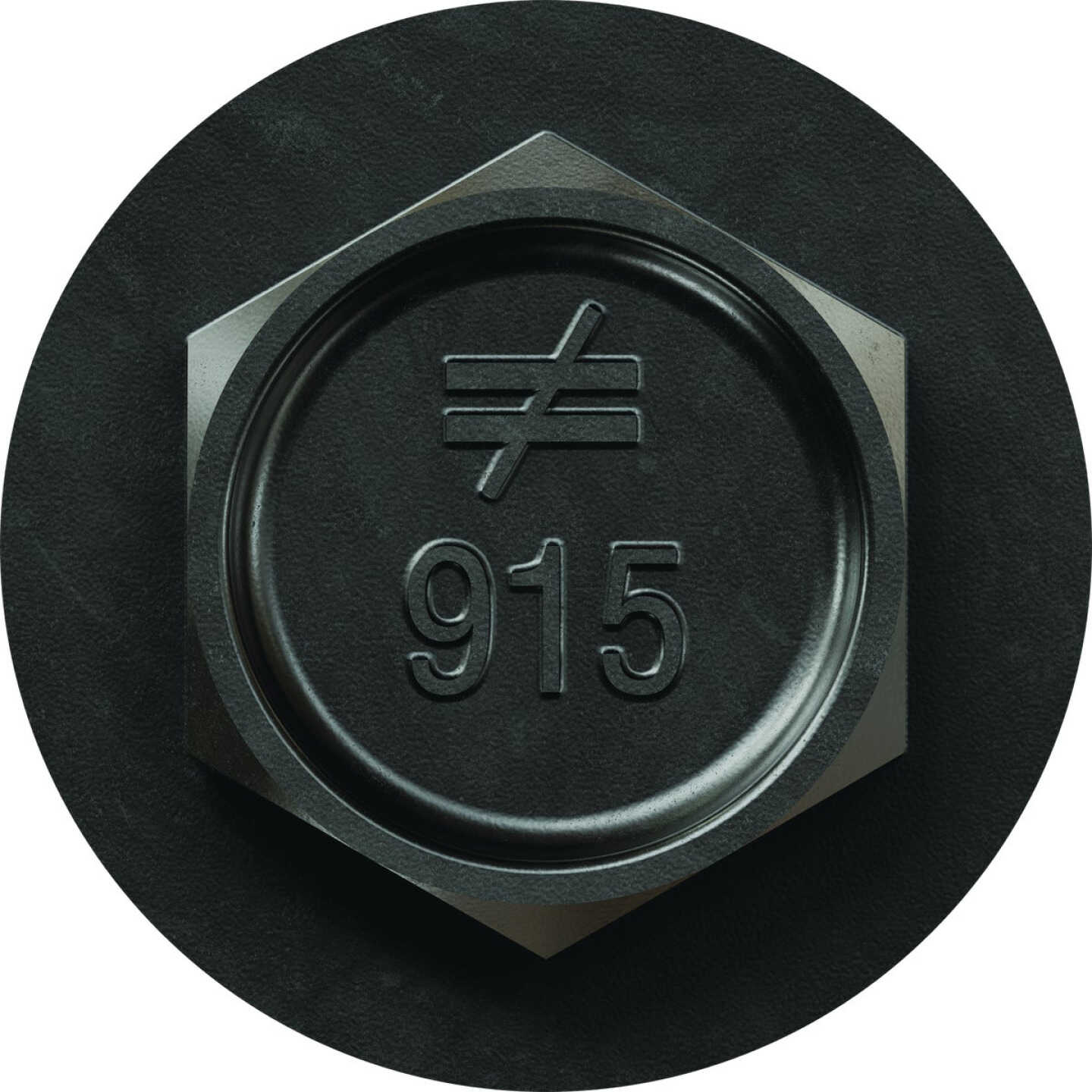 Simpson Strong-Tie Outdoor Accents #9 x 1-1/2 In. Hex Head Connector Screw (50-Count) Image 4