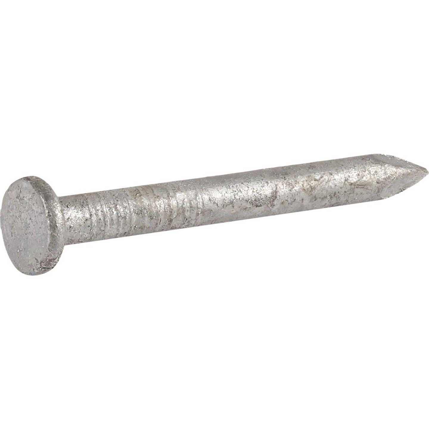 Hillman Fas-n-Tite 1-1/2 In. Joist Hanger Nail (1 Lb.) Image 2