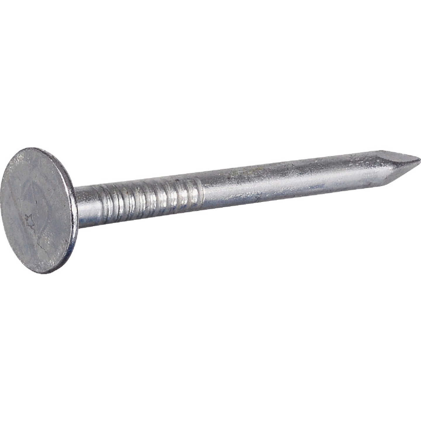 Hillman Fas-n-Tite 1-1/2 In. Electrogalvanized Roofing Nails (1 Lb.) Image 1