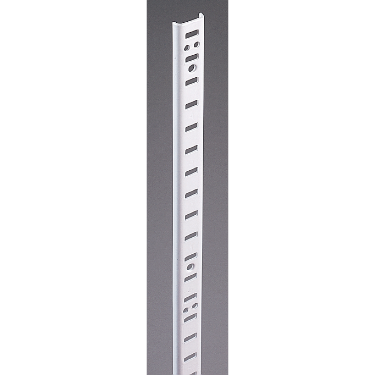 Knape & Vogt 255 Series 72 In. Zinc-Plated Steel Mortise-Mount Pilaster Shelf Standard Image 1