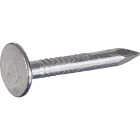 Hillman Fas-n-Tite 1 In. Electrogalvanized Roofing Nails (1 Lb.) Image 1