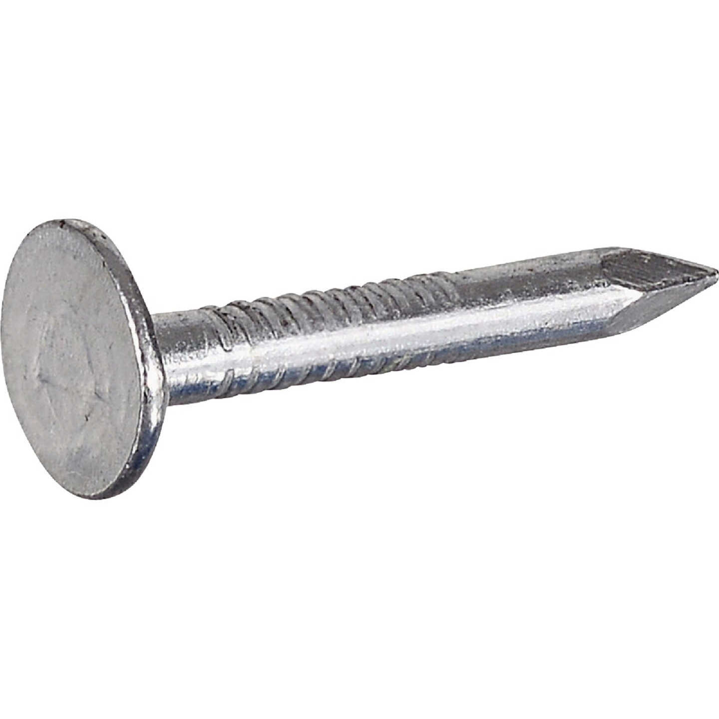 Hillman Fas-n-Tite 1 In. Electrogalvanized Roofing Nails (1 Lb.) Image 1