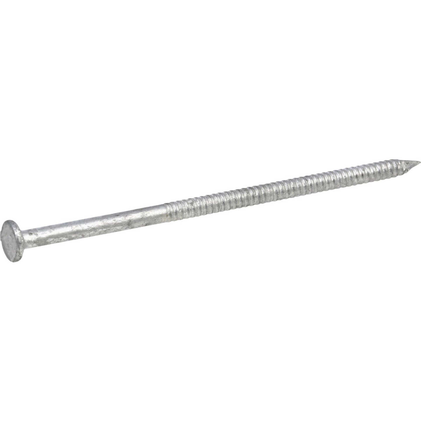 Hillman Fas-n-Tite 6 In. Hot Dipped Galvanized Polebarn Nails (85-Count) Image 2