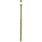 SPAX #8 x 3-1/8 In. T10 Plus Cylindrical Head HCR (Exterior Rated) Yellow Trim Screw (100-Count) Image 1