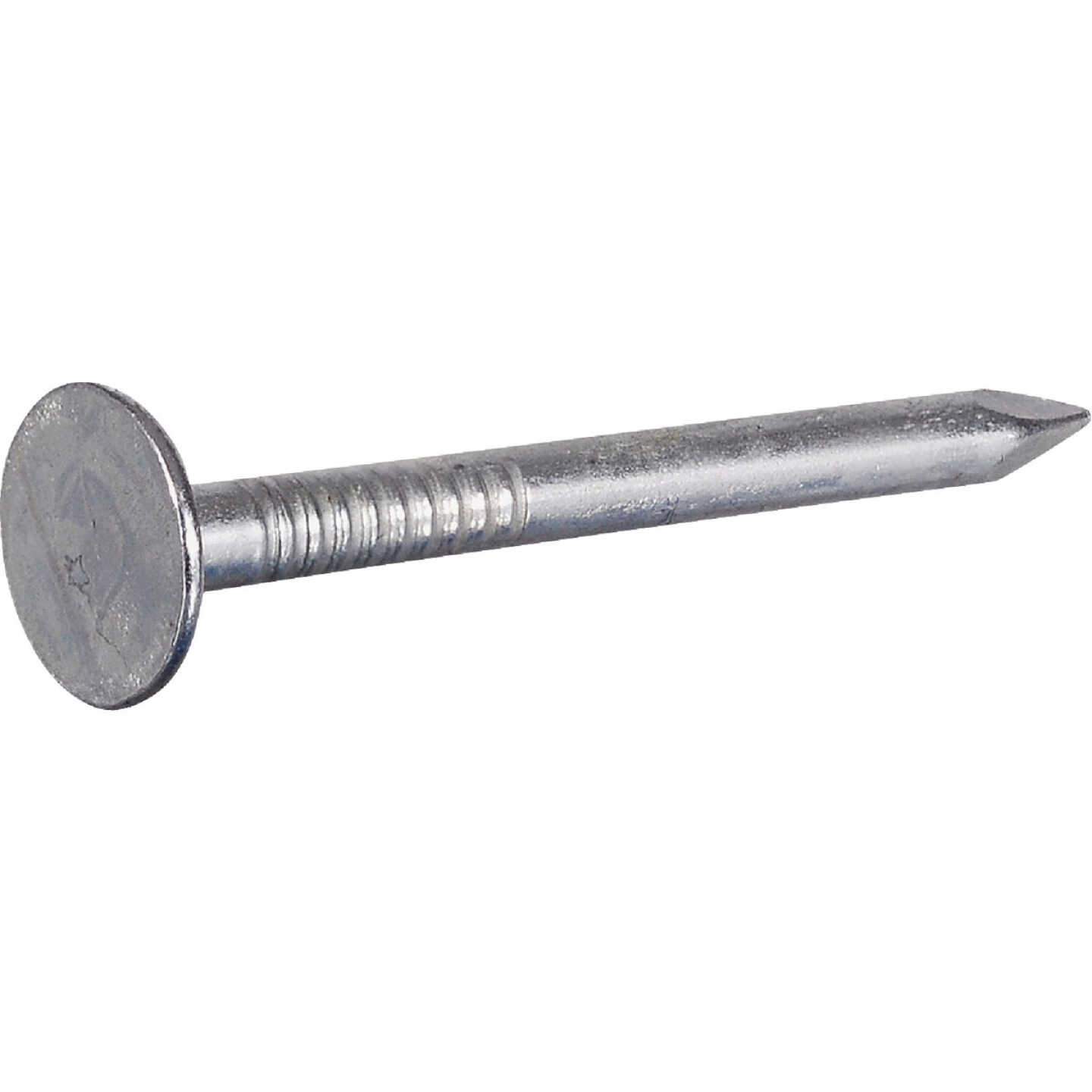 Hillman Fas-n-Tite 1-1/2 In. Electrogalvanized Roofing Nails (5 Lb.) Image 1