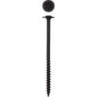 SPAX PowerLags 5/16 In. x 5 In. T40 Washer Head HCR (Exterior Rated) Lag Screw (50-Count) Image 1