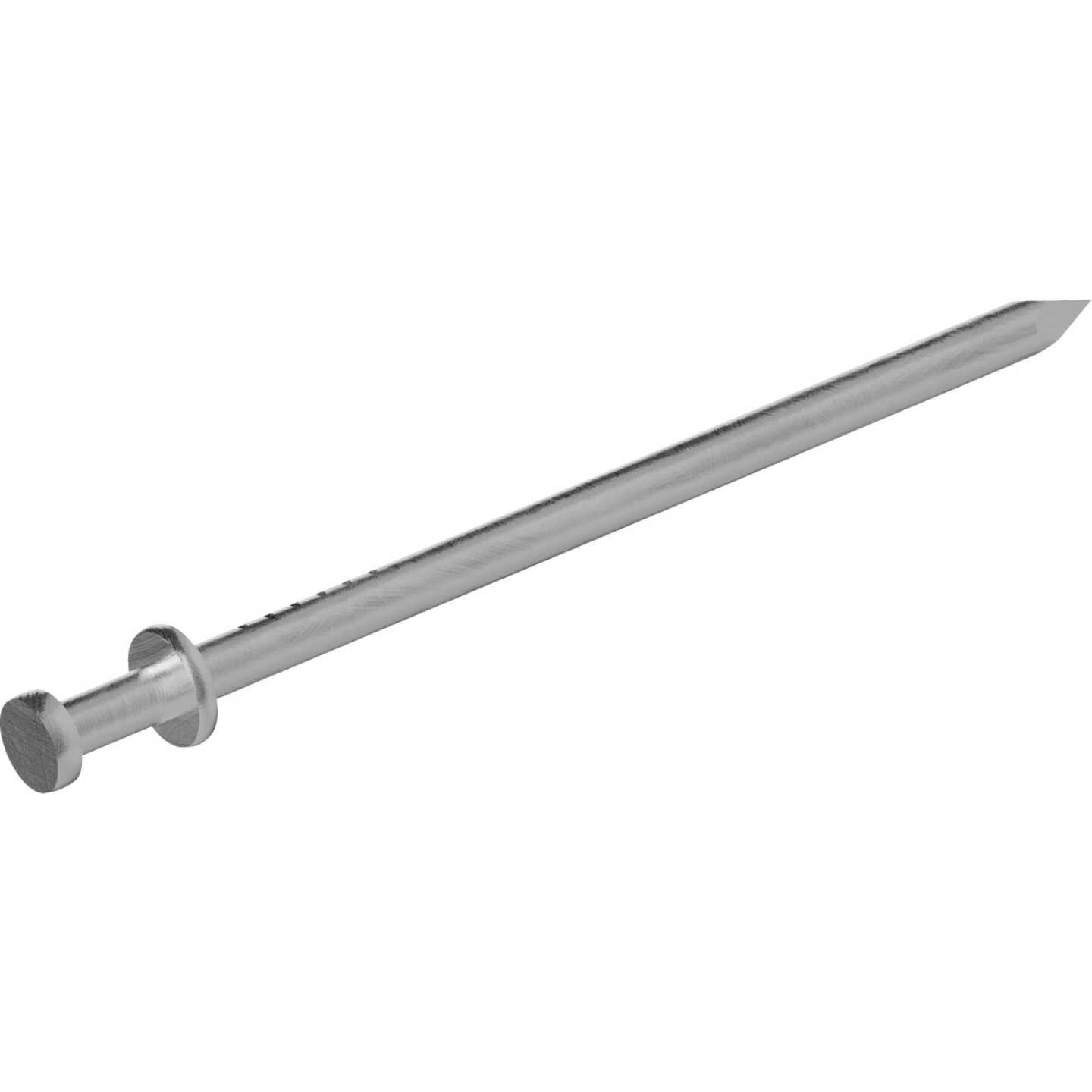 Grip-Rite 2-1/4 In. x 8d Bright Duplex Framing Nails (83-Count) Image 2