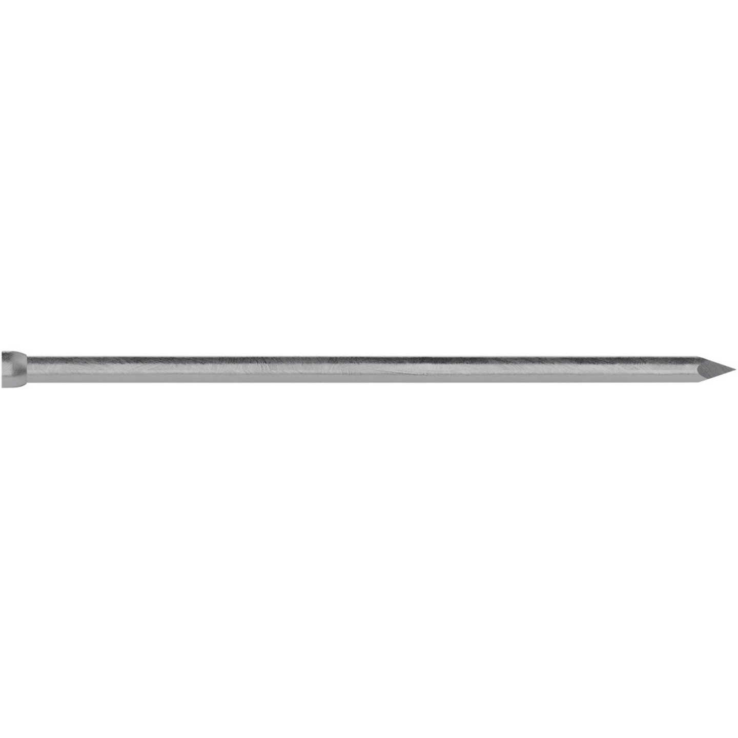 Grip-Rite 2 In. x 6d Hot Galvanized Finishing Nails (288-Count) Image 3