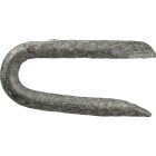 Grip-RIte 1-1/4 In. 9 ga Hot Galvanized Fence Staple (82-Count) Image 2