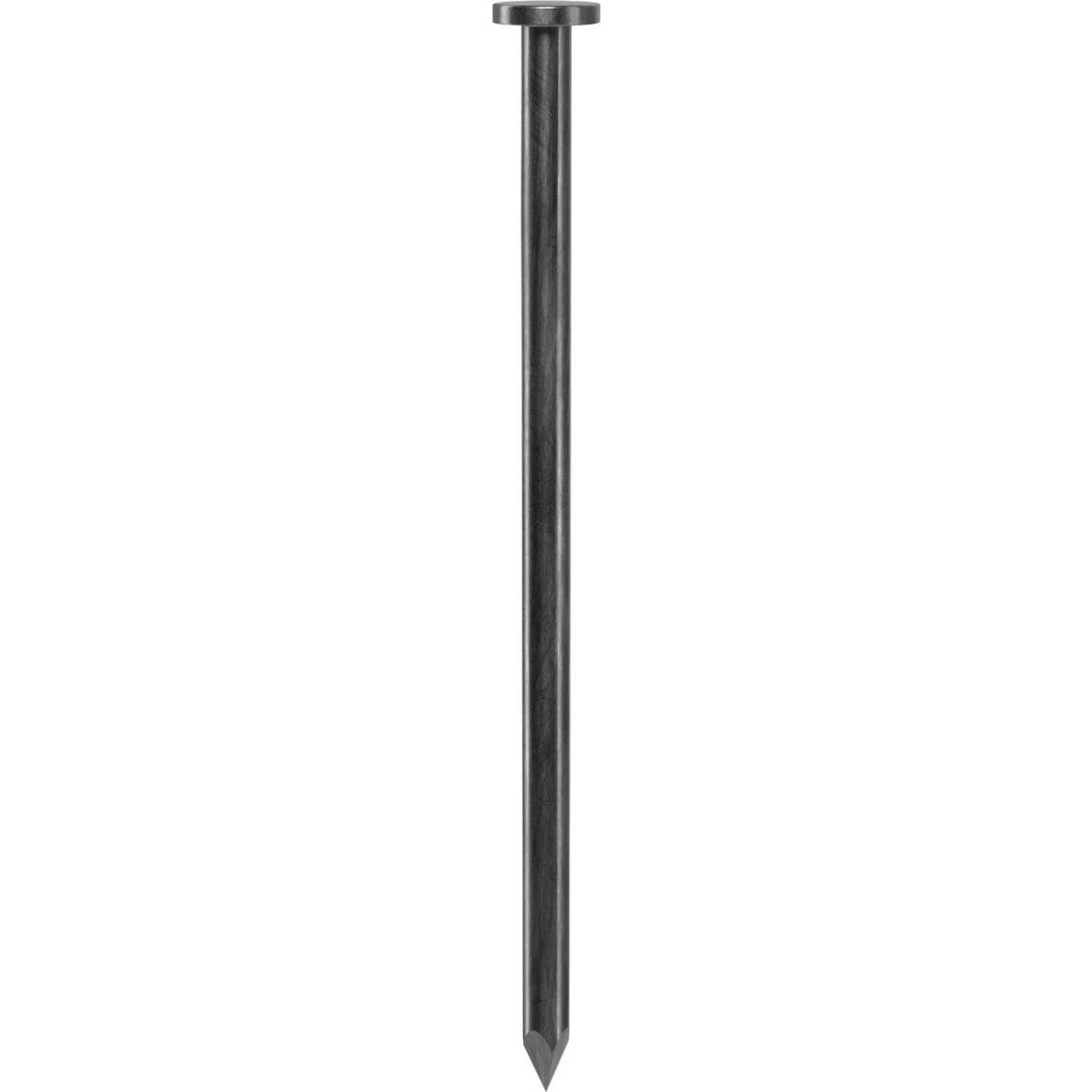 Grip-Rite 3-1/4 In. 12d x 9 ga Smooth Shank Bright Steel Common Nail (50 Lb.) Image 1